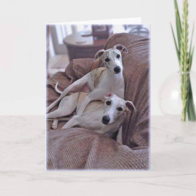 Whippet Dogs Card (Front)