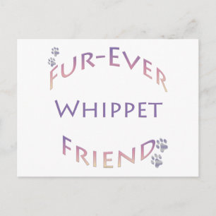 Whippet Furever Friend Postcard