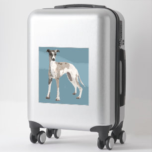 Whippet grey and white, blue background