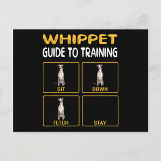 Whippet Guide To Training Dog Obedience Announcement Postcard