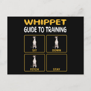 Whippet Guide To Training Dog Obedience Holiday Postcard