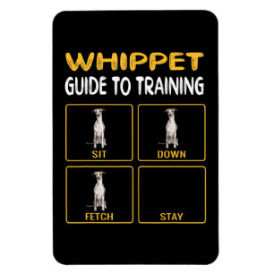whippet guide to training dog obedience magnet