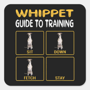whippet guide to training dog obedience square sticker