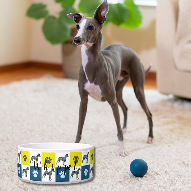 Whippet Italian Greyhound & Paw Y&B New Puppy Bowl (Whippet / Italian Greyhound New Puppy Dog Bowl)