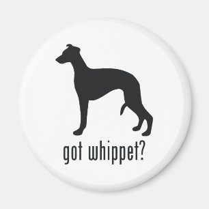 Whippet Magnet
