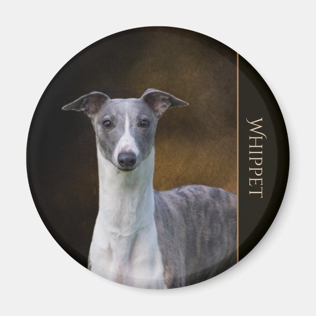 Whippet Magnet (Front)