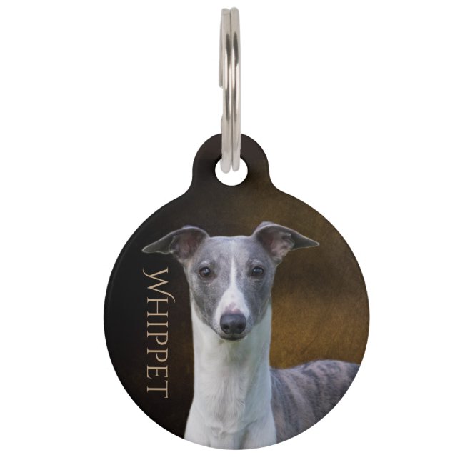 Whippet Pet Tag (Front)