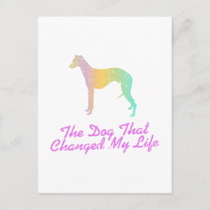 Whippet Postcard