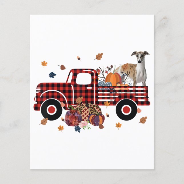 Whippet Pumpkin Truck Thanksgiving Halloween Gift Flyer (Front)