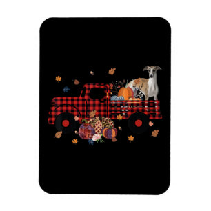 Whippet Pumpkin Truck Thanksgiving Halloween Gift Magnet