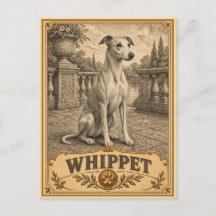 Whippet, Vintage Heritage Dog