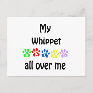 Whippet Walks Design Postcard