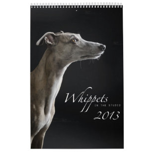 Whippets in the studio 2013 calendar
