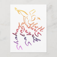 Whirling Dervish