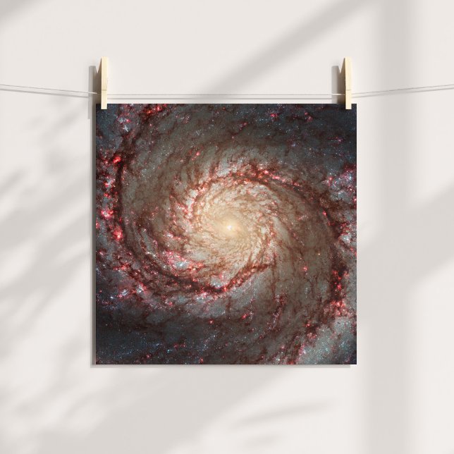 Whirlpool Galaxy Poster (Whirlpool Galaxy Poster)