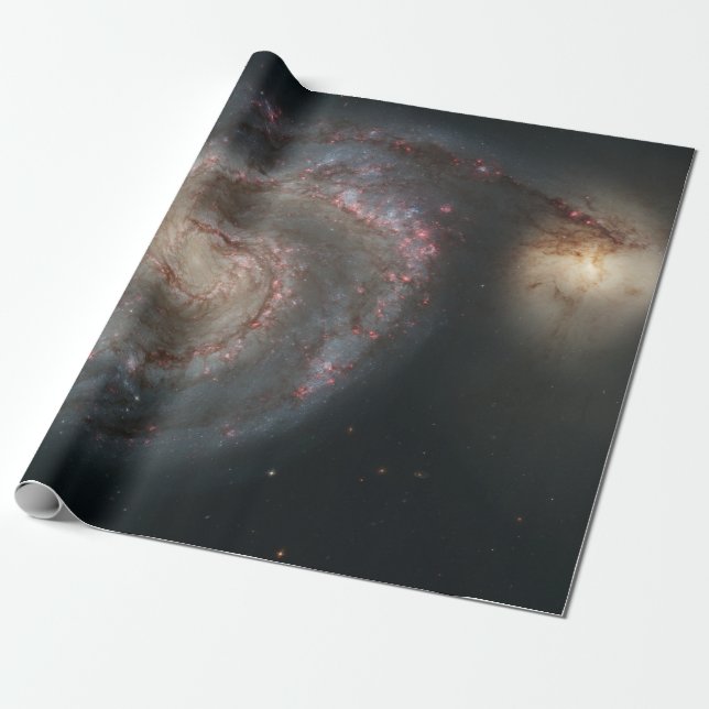 Whirlpool Galaxy (Space) (Universe) (Messier 51A) Wrapping Paper (Unrolled)