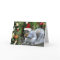 Whiskas the Squirrel Christmas Card