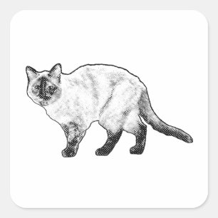 Whisker Fun, Dotted Cat Sticker