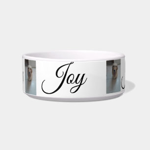 "Whisker Haven: Stylish and Practical Pet Bowls fo