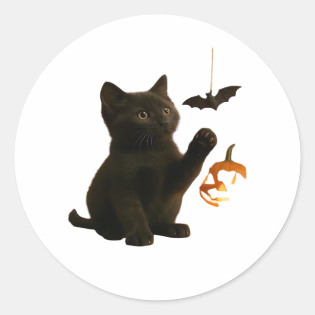 Whisker Hex & Lantern Glow Classic T-Shirt Classic Round Sticker (Front)