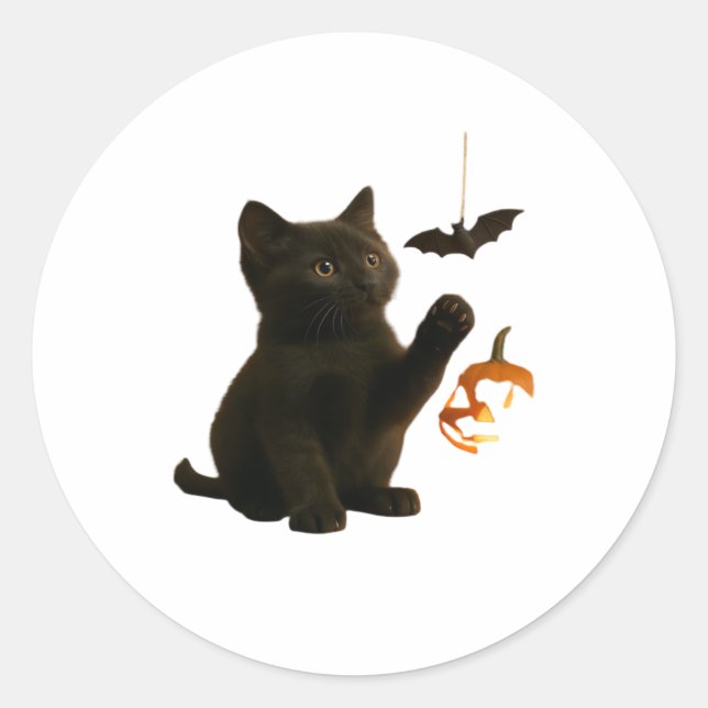 Whisker Hex & Lantern Glow Classic T-Shirt Classic Round Sticker (Front)