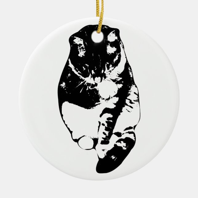 Whisker-Soft Keepsake Ceramic Ornament (Front)