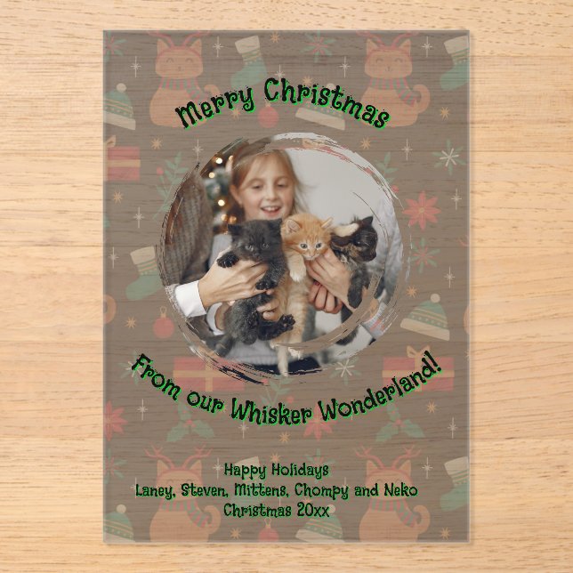 Whisker Wonderland Acrylic Photo Invitations (Front)