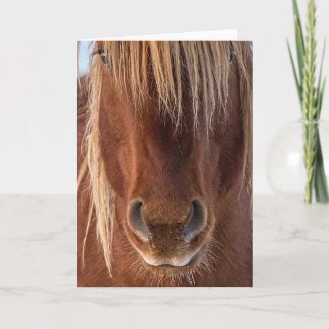 "Whiskers" Note Card (Front)