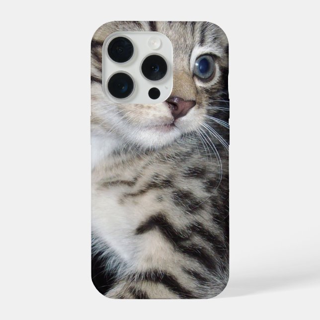 "Whiskers of Trouble: The Mischievous Tabby Kitten iPhone Case (Back)