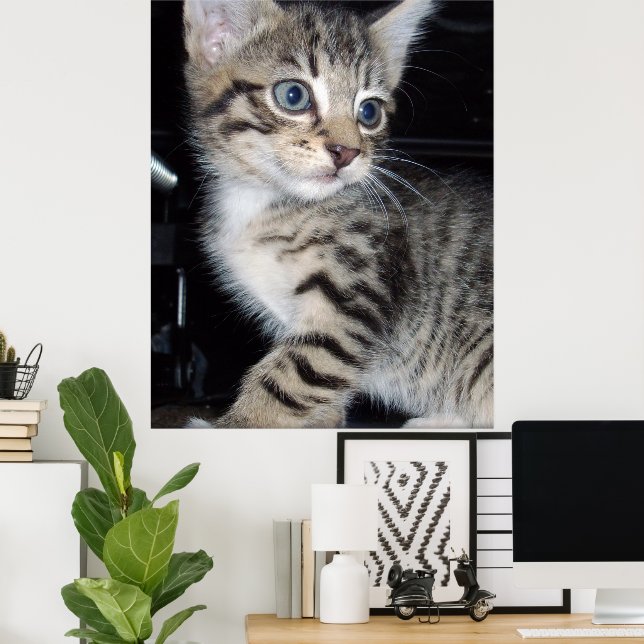 "Whiskers of Trouble: The Mischievous Tabby Kitten Poster (Home Office)