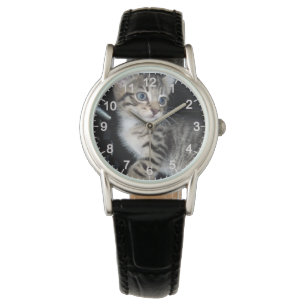 "Whiskers of Trouble: The Mischievous Tabby Kitten Watch