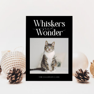 Whiskers & Wonder Cat Photo Black Christmas Holiday Card