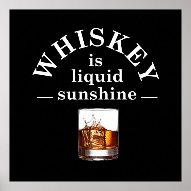 Whiskey quotes funny drinking sayings poster (Front)