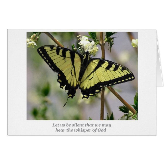 Whisper butterfly (Front Horizontal)