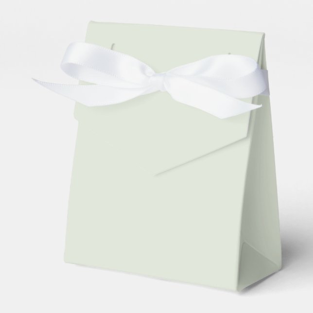 Whisper Green Solid Colour Favour Box (Front Side)