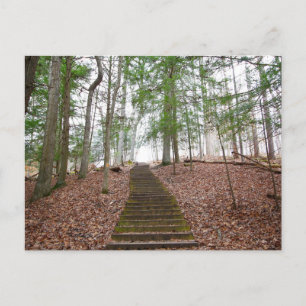 Whispering Cave, Hocking Hills State Park, Ohio Postcard