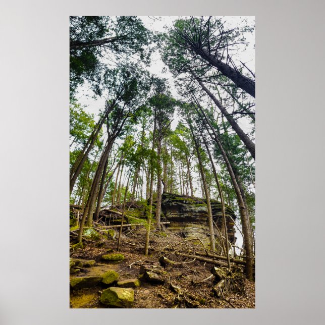 Whispering Cave, Hocking Hills State Park, Ohio Poster (Front)