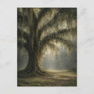 Whispering Oak   Nature Postcard   Moody Woodland 