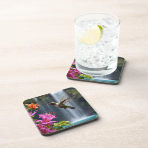 "Whispers of Nature: Hummingbird, Waterfall Coaster