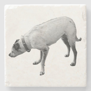 Whispers of October Nights Stone Coaster