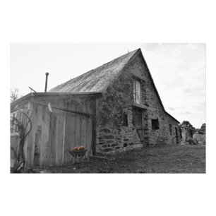 Whispers of the Past  Photo Print