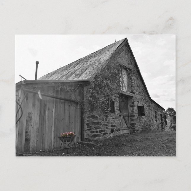 Whispers of the Past  Postcard (Front)