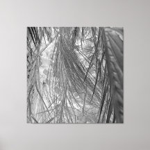 Whispers Of The Tropics