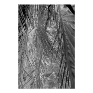 Whispers Of The Tropics Poster