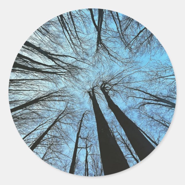 Whispers of the Whisper Forest Classic Round Sticker (Front)