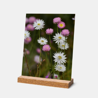 Whispers of Wildflowers Acrylic Sign