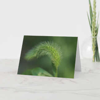 Whispy Grass Greeting Card H