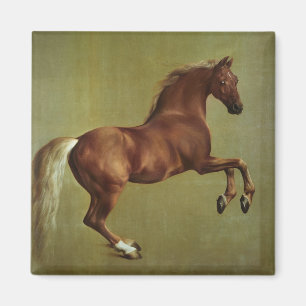 Whistlejacket, 1762 magnet