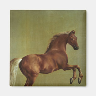 Whistlejacket, 1762 magnet