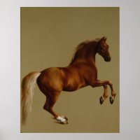Whistlejacket by George Stubbs